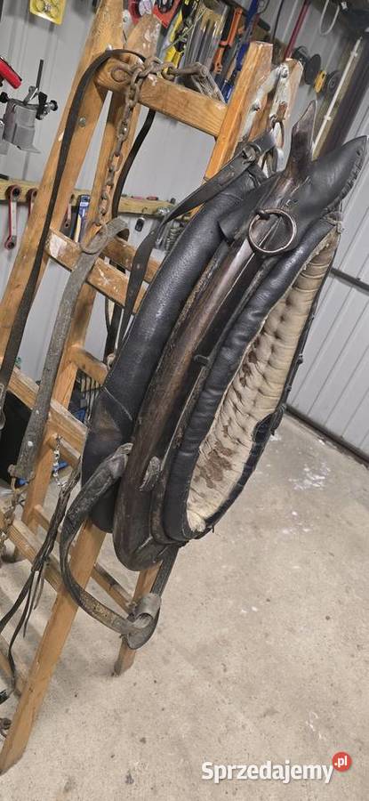 Chomonto skórzane Pajęczno