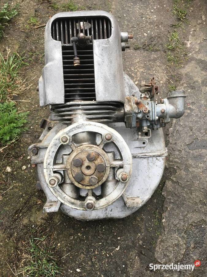 Silnik dzik Pozostałe