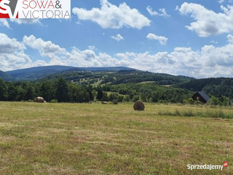 Piekna panorama utwardzona Michałkowa