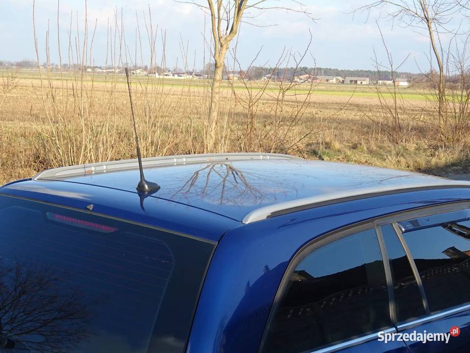 Relingi dachowe srebrne i czarne Vectra C kombi osobowe Parcice