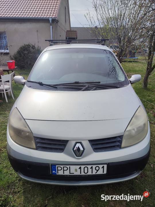 Scenic 2 2004r 15dci kod lakieru nv472 wszystkie Kamieniec