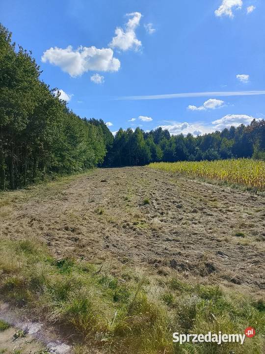 Działka rolna rekreacyjna budowlana 10zl metr Podwody-Kolonia