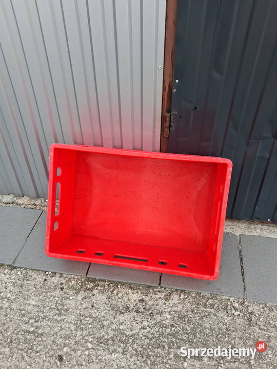Skrzynki plastikowe na mięso świętokrzyskie Działoszyce