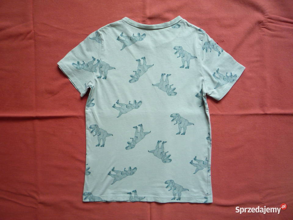 HM r 134 Niebieskozielona Koszulka Dinozaury Szczecin