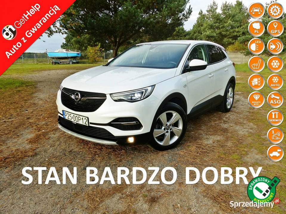 Opel Grandland X 15 Rok produkcji 2017 wielkopolskie
