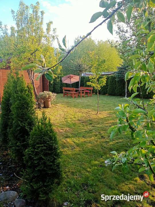 Ogródek działkowy działka rod Miłosław