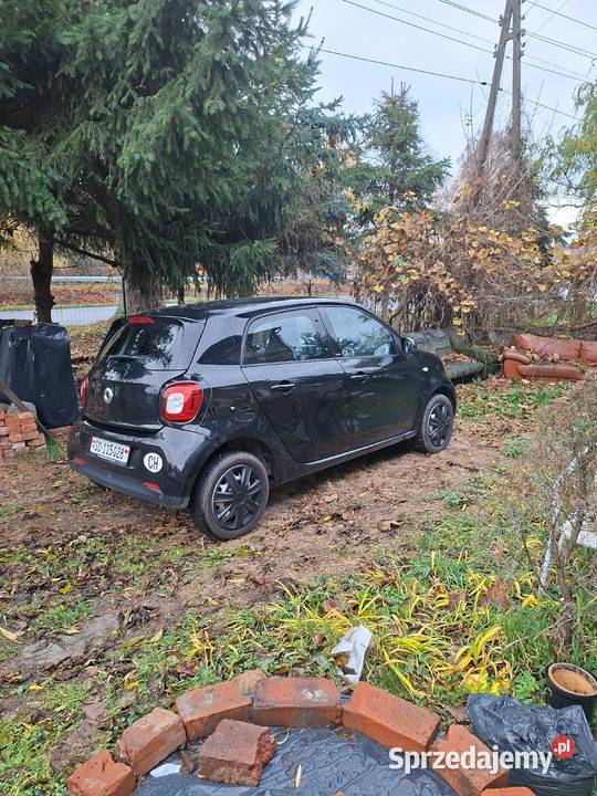 Smarty w stanie Roztoka