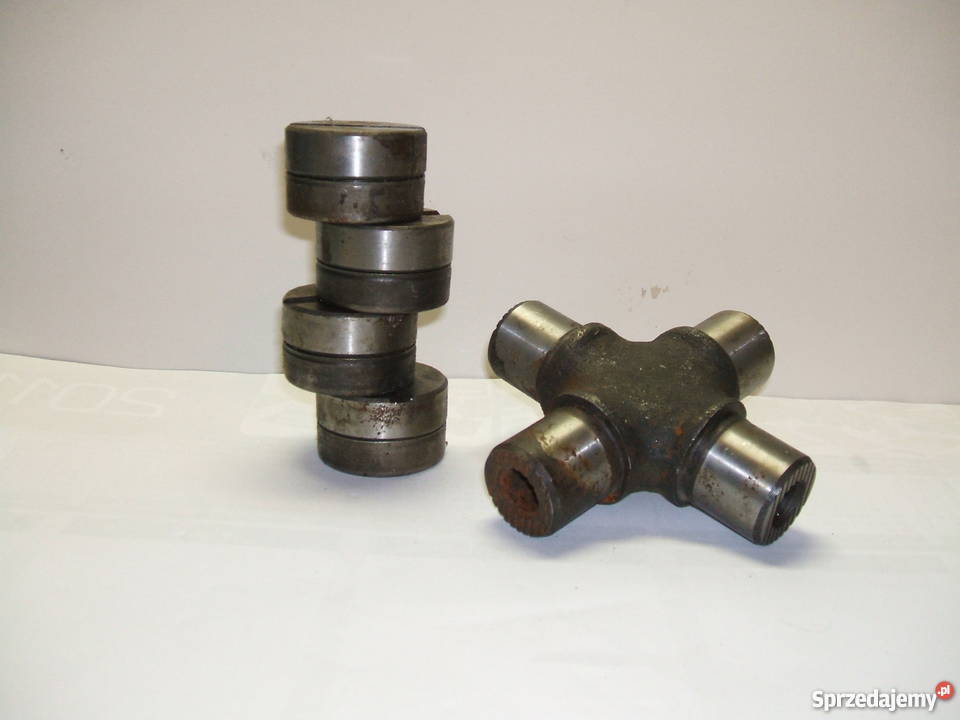 Krzyżak wału mazowieckie Płock