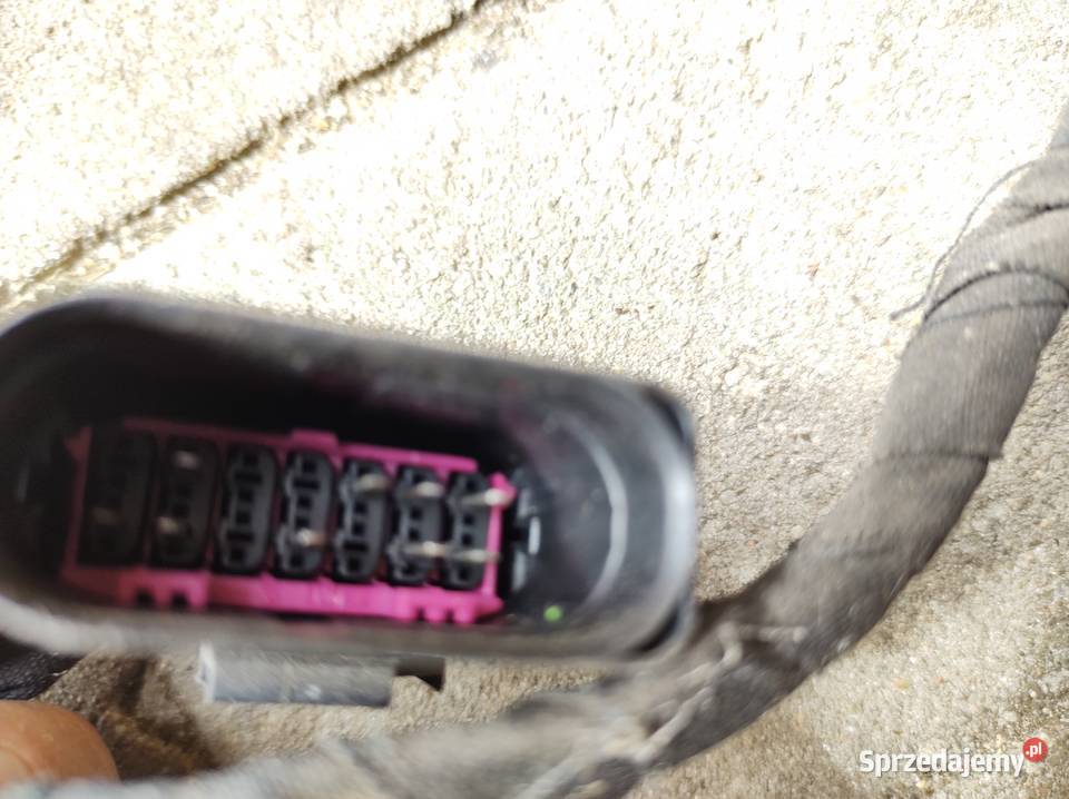 Audi A6 C5 instalacja PDC czujnik przewody przód Chodzież