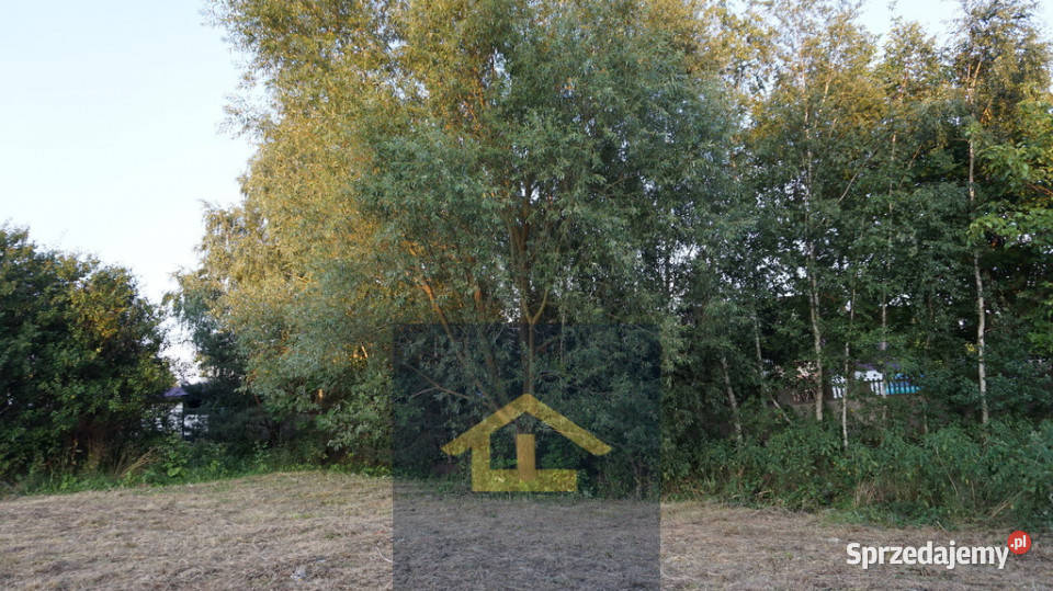 Nieruchomość w Nadbrzeżu