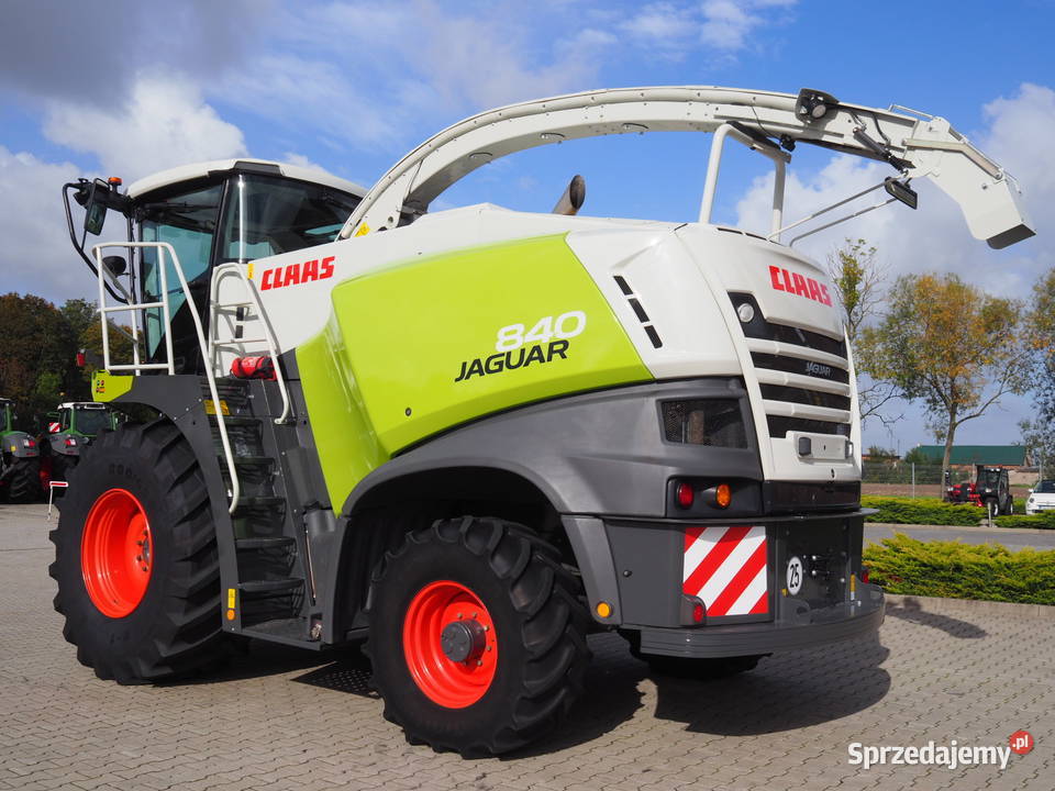 Claas Jaguar 840 4WD Sieczkarnia polowa Rolnictwo Stęszew sprzedam