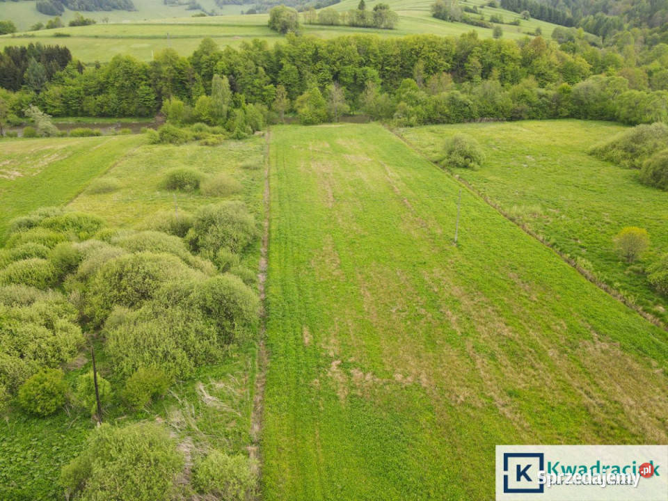 Działka 914m2 Terka