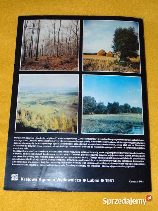 Spotkania z zabytkami 1981 Lublin sprzedam