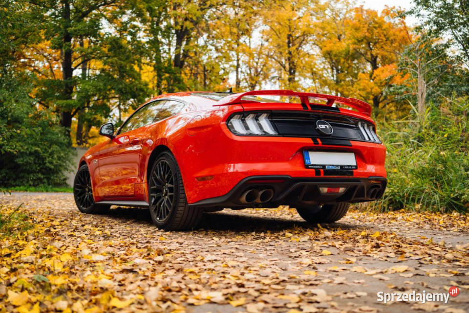 Ford Mustang GT V8 50 radio mazowieckie Piaseczno sprzedam