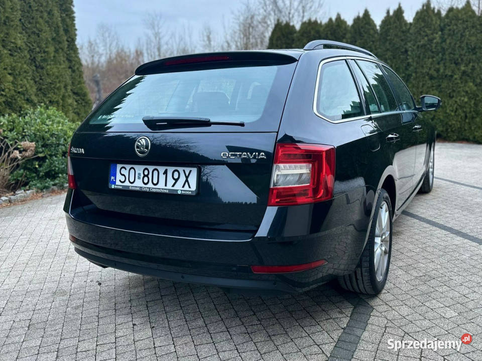 koda Octavia Skoda Octavia 16TDI 115 Kombi Salon Wrocław