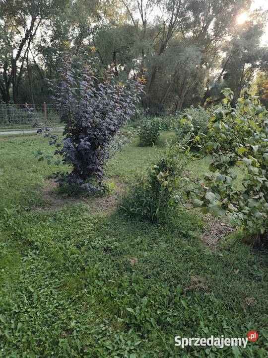 Siedlisko działka 2700m2 dom murowany lubelskie Kępa