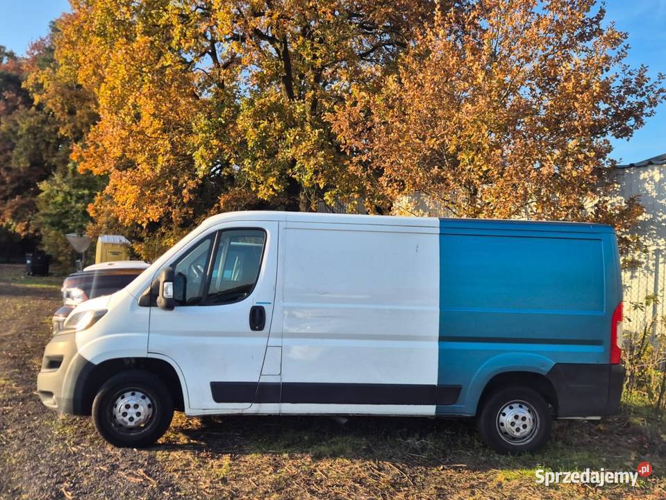 Peugeot Boxer 20 Diesel 2019 nieuszkodzony Wołów