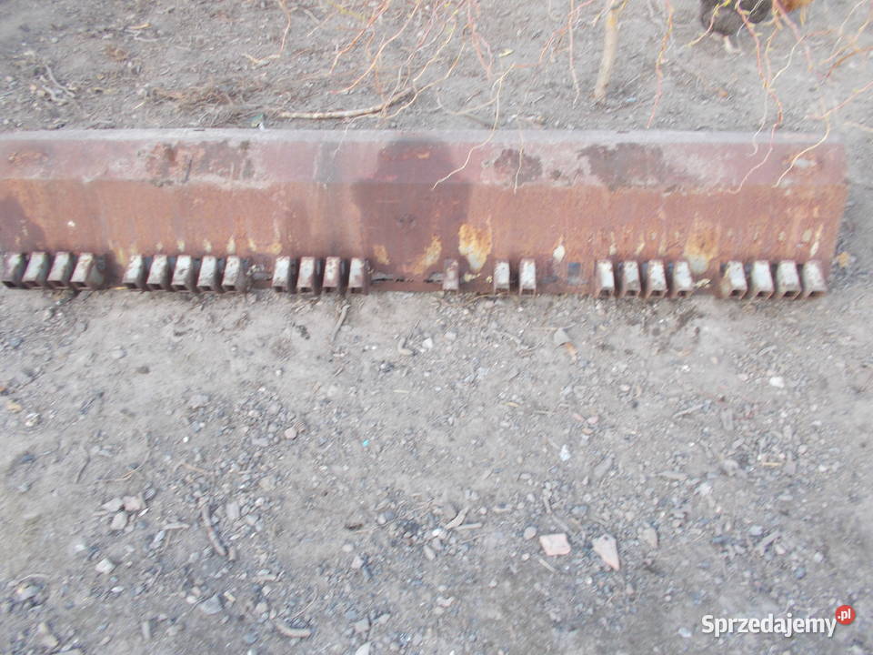 siewnik poznaniak mazowieckie Sochaczew