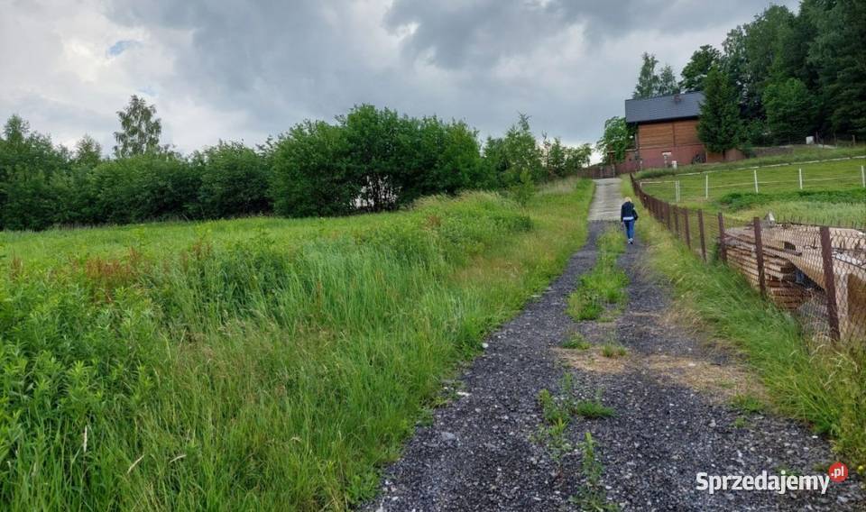 Rożnów działka budowlana inwestycyjna Jezioro