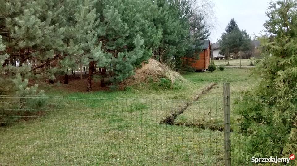 Działka ROD Sierosław II 15 Poznania rekreacyjna Sierosław