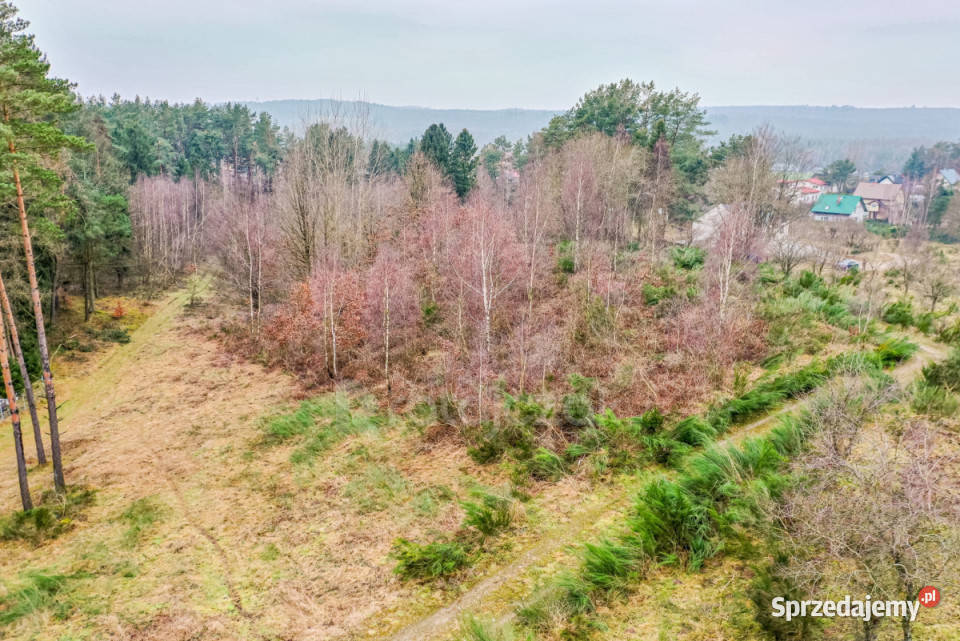 Grunt 2055m2 Zbychowo Żwirowa Grunty i działki