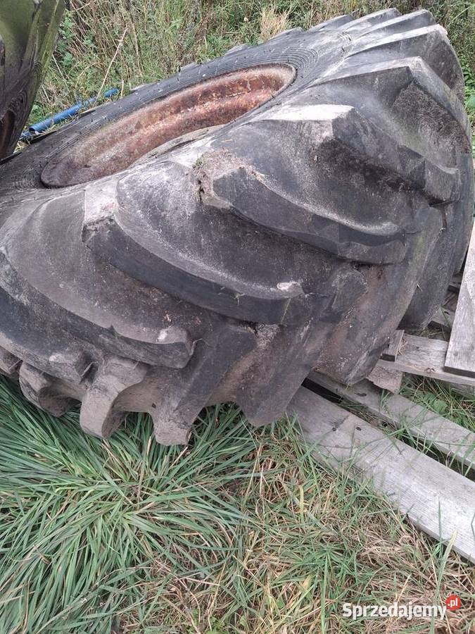 Opony 213 r24 htz k150 wielkopolskie Osówka