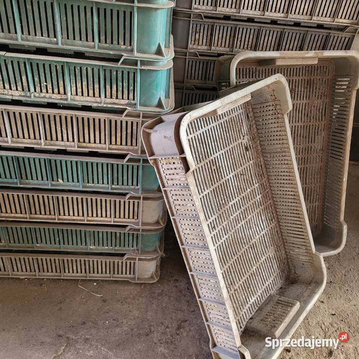 Sprzedam skrzynki Skrzynki i opakowania