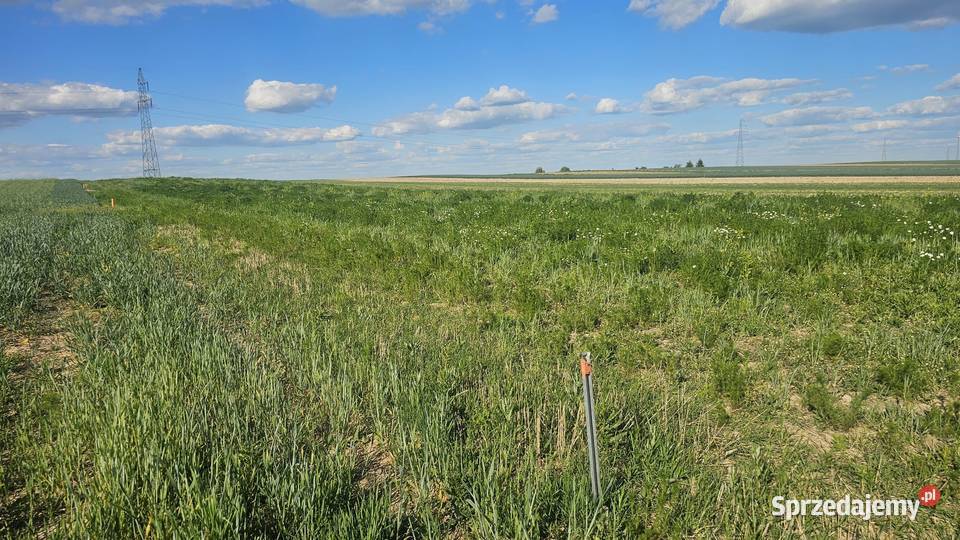 Działka lubelskie Zamość sprzedam
