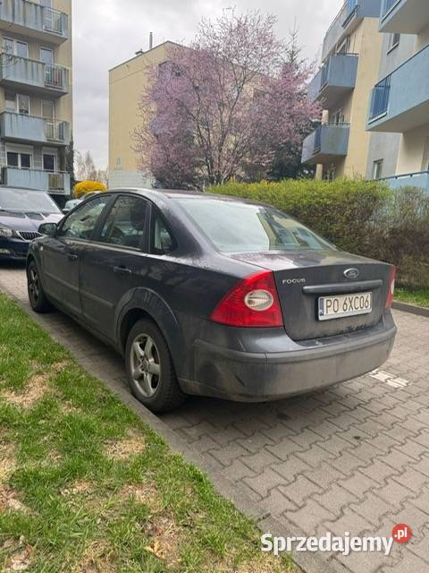 Ford Focus 16 Poznań