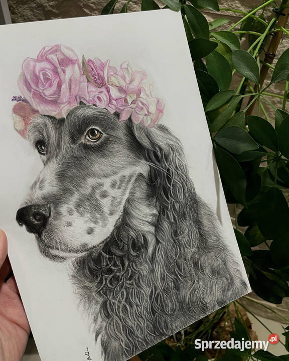 Portret zwierzaka Jastrzębie-Zdrój sprzedam