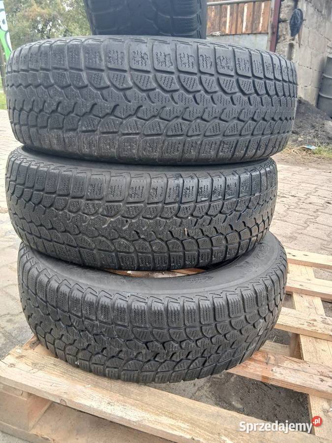 Opony zimowe Firestone 1956515 195 Skierniewice