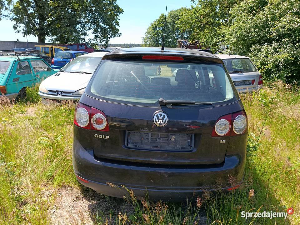 Volkswagen Golf Plus 16 FSI 85 kW 2006 r dawca Szklarka Myślniewska