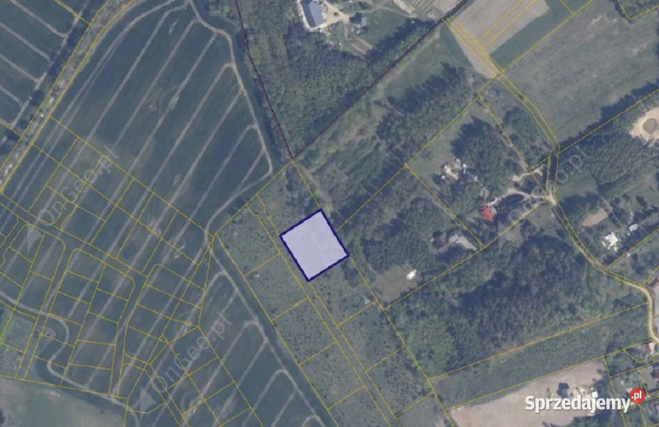 Działka 22316 w miejscowości Warcz