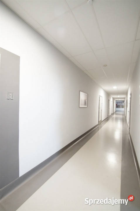 wynajem lokal użytk 24m2biurowiec Opole Zakrzów od ulicy