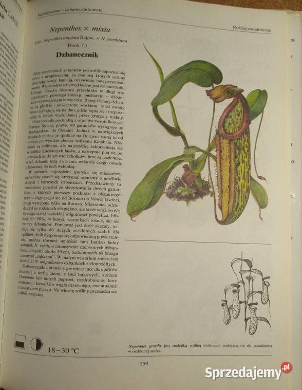 Mieszkanie w kwiatachmoje hobbydomroślinykwia Łódź