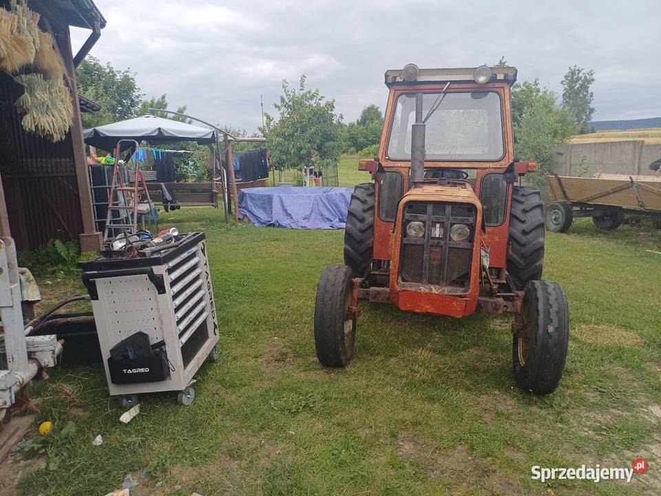 International 444 Skorzeszyce
