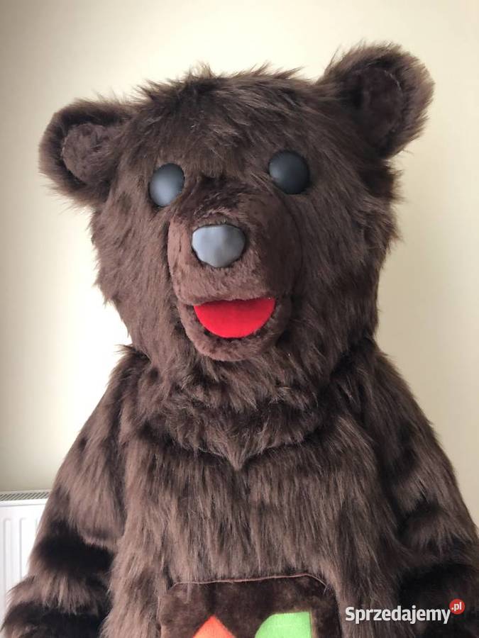 NIEDŹWIEDŹ Żywa Chodząca Maskotka strój Szczecin