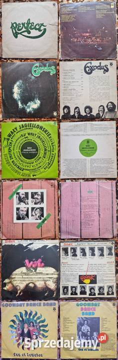 6 x Płyta Perfect Exodus Wały Jagiellońskie Vox płyta winylowa Sosnowiec sprzedam