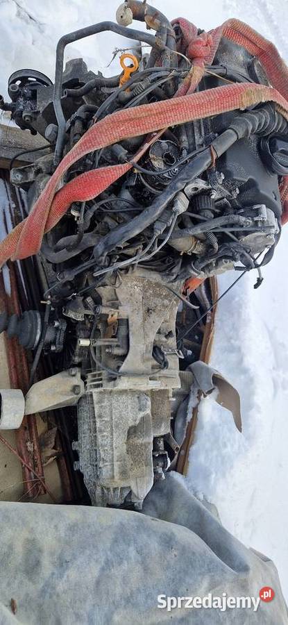 Silnik skrzynia passat b5 115 Blok silnika Silniki i osprzęt Orawka