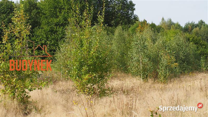 Działka rolna Karsino 9300m2