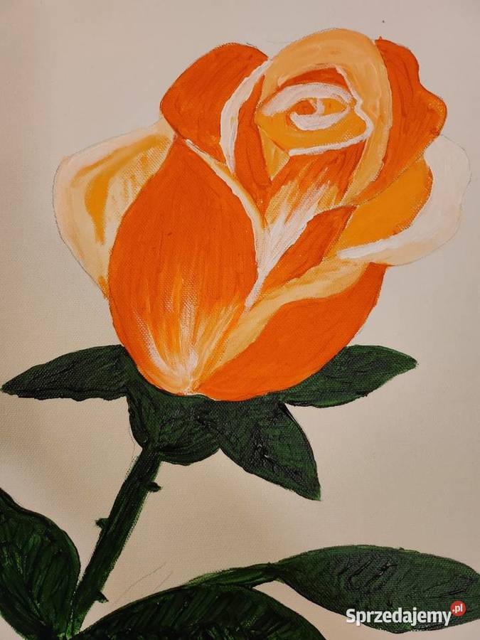 Róża obraz akrylowy 50x40 Warszawa