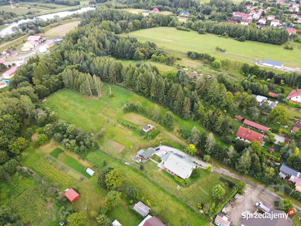 Grunt 4256m2 Trepcza 1zł/m2