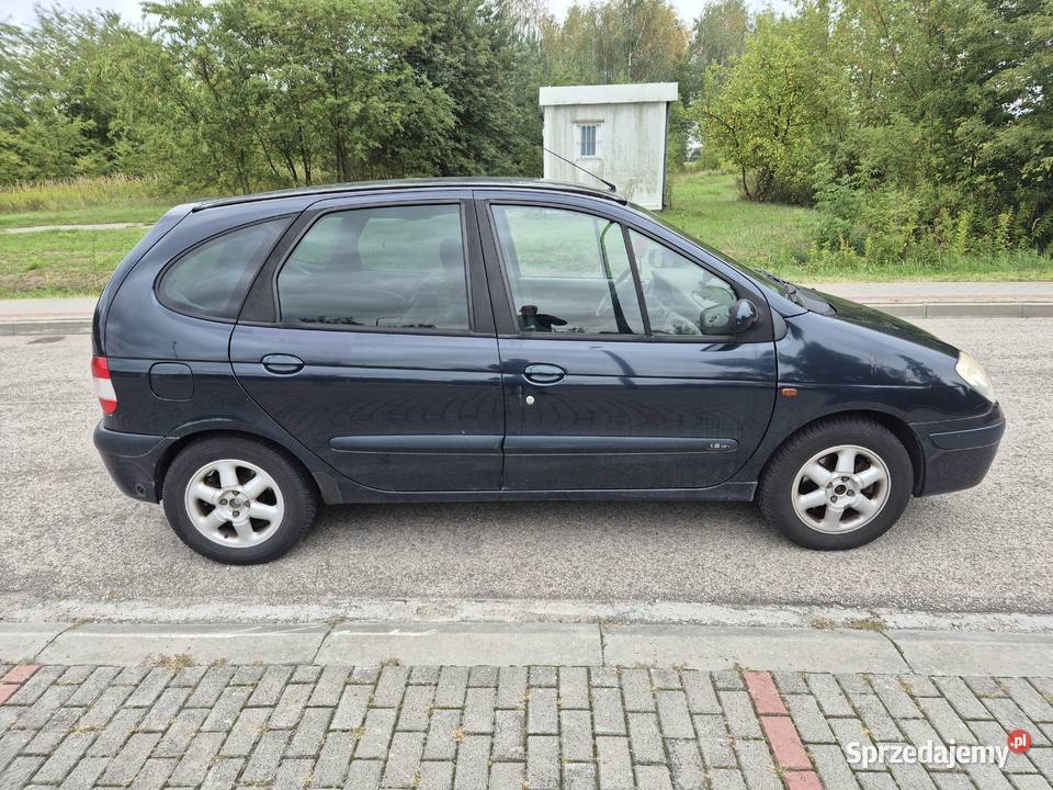 Sprzedam Renault Scenic Scenic podkarpackie Skopanie sprzedam