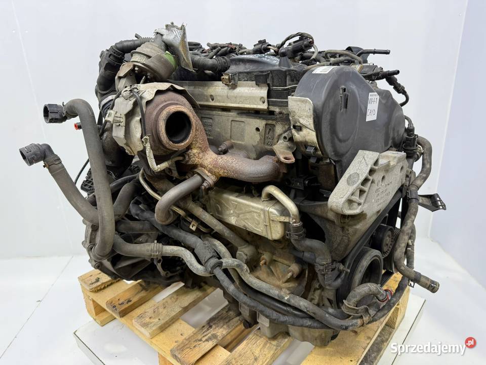 SILNIK CAY CAYD VW Caddy III IV 16 TDI 102 osobowe Chełm sprzedam