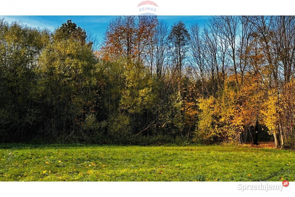 Działka 113 ha 33 m2 rekreacyjna śląskie