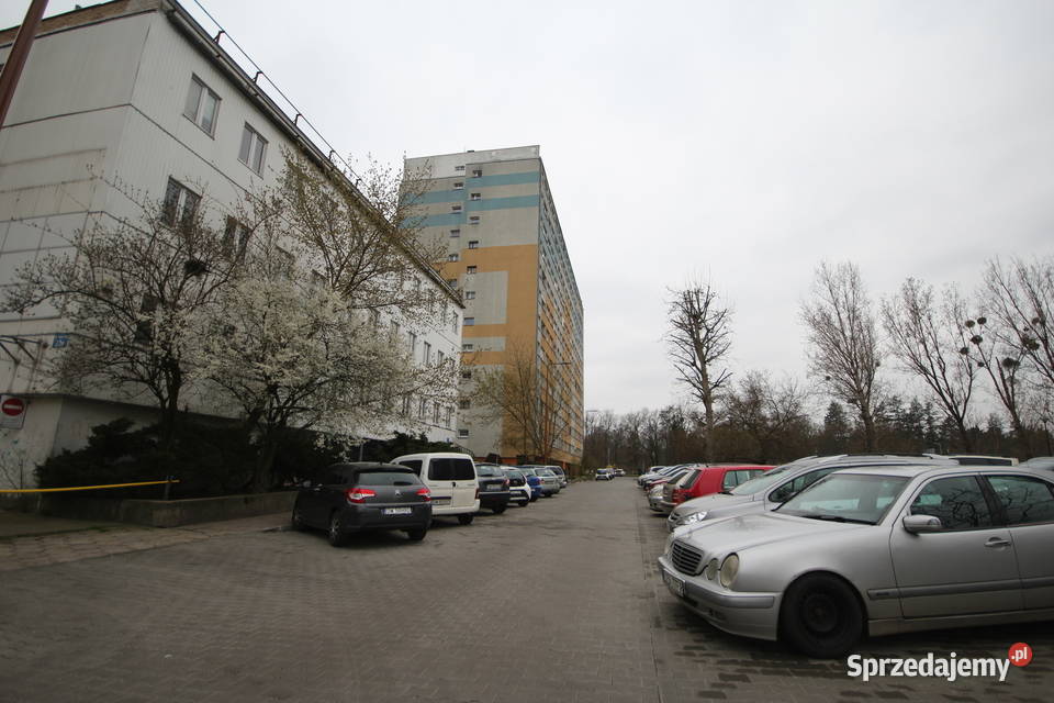 2pok 37met Alei Pracy BALKONPIWNICAWINDA Wrocław sieć
