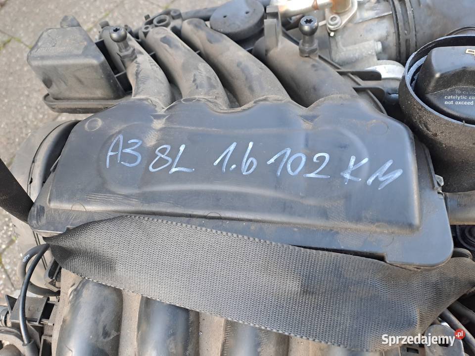 Audi A3 8L 16 8V 102 silnik kompletny kod AVU Jastrzębie-Zdrój