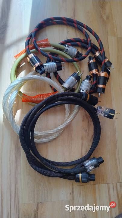 Ricable Magnus Dedalus Pszczyna