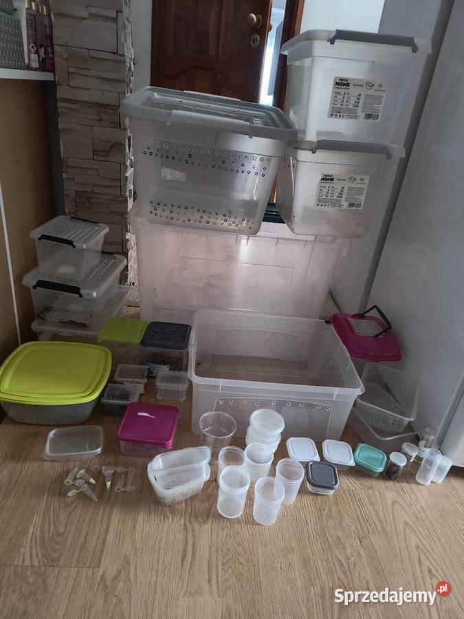 Pudełka boxy hodowlane pojemniki okazja śląskie Bielsko-Biała