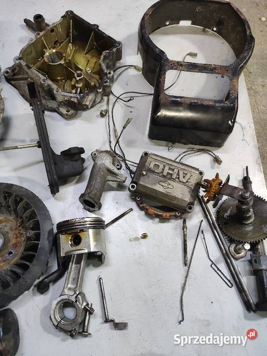 Koło zamachowe magnesowe briggs Stratton pomorskie Wiele